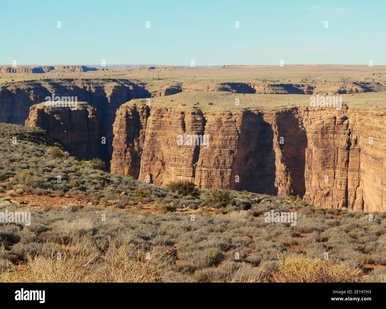 scenic view into the grand canyon with the colorado river Stock Photo ...