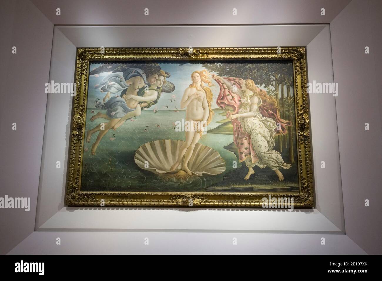 Italy, Tuscany: Florence (Firenze in Italian). The Birth of Venus, a painting by Sandro Botticelli, in the Uffizi Gallery Stock Photo