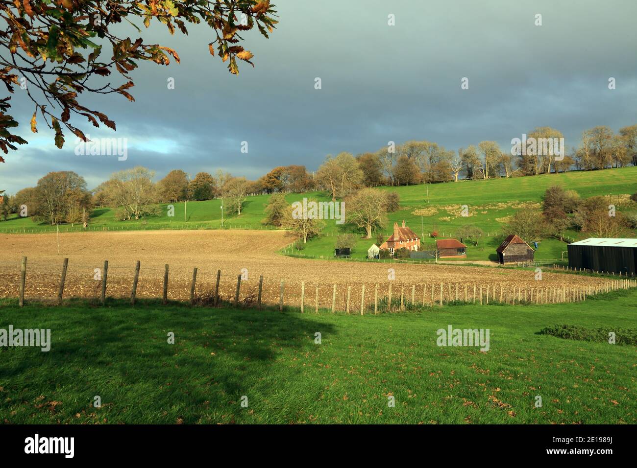 Little Holt Farm, Bodsham, Ashford, Kent, England, United Kingdom Stock