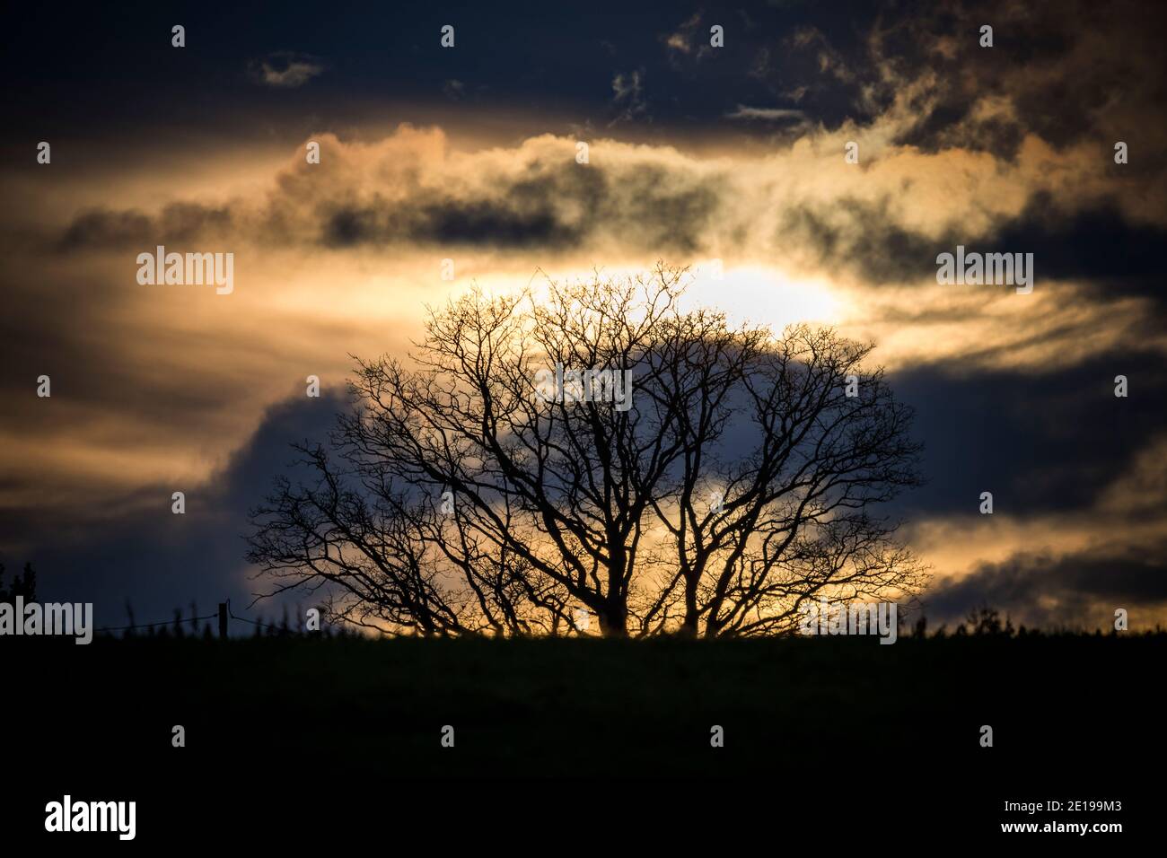Dramatic sky over silhouetted tree in English countryside Stock Photo
