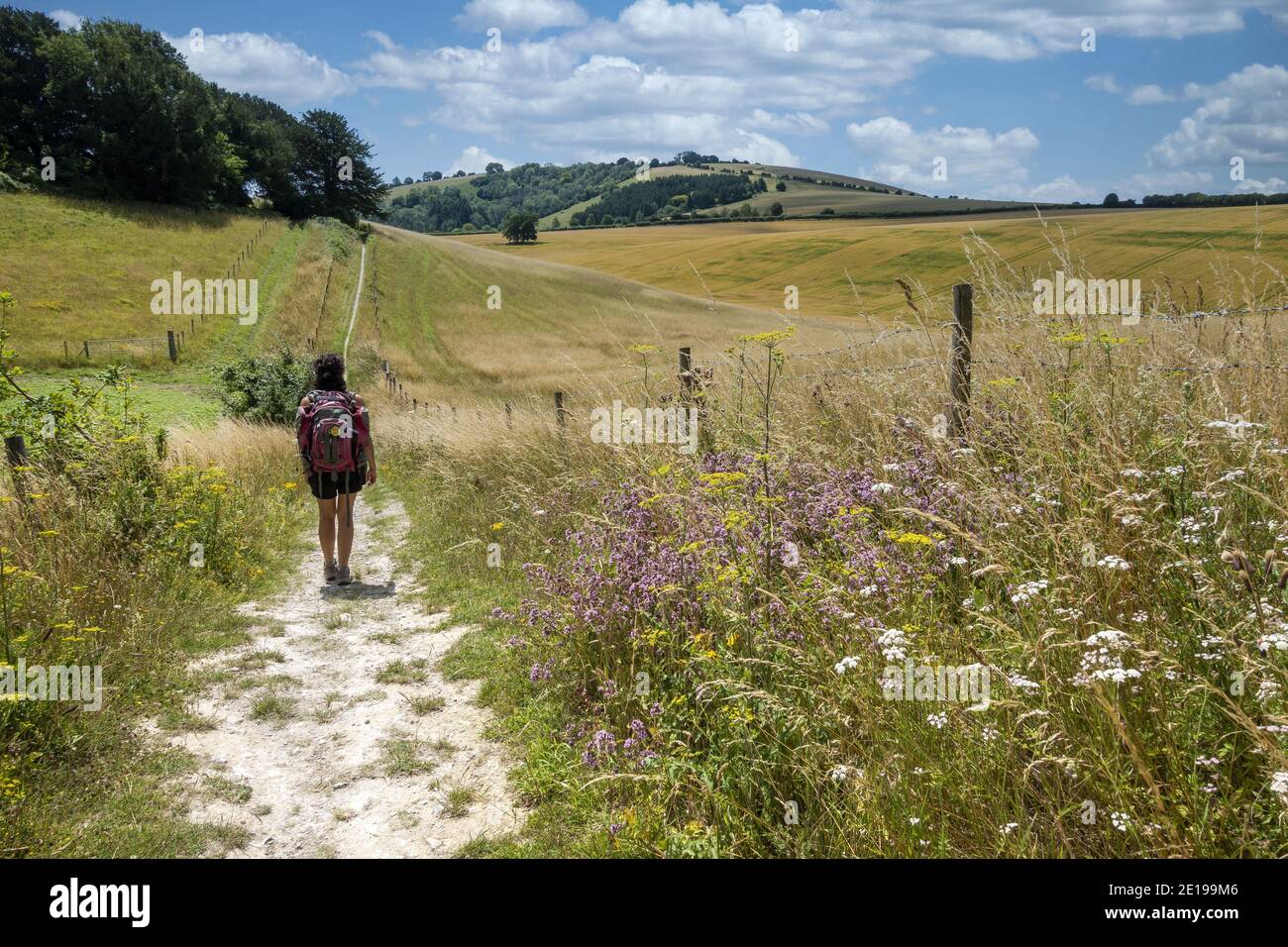 Hiker on the Hangers Way, a 21-mile-long-distance footpath through Hampshire from Alton railway station to Queen Elizabeth Country Park, England, UK Stock Photo
