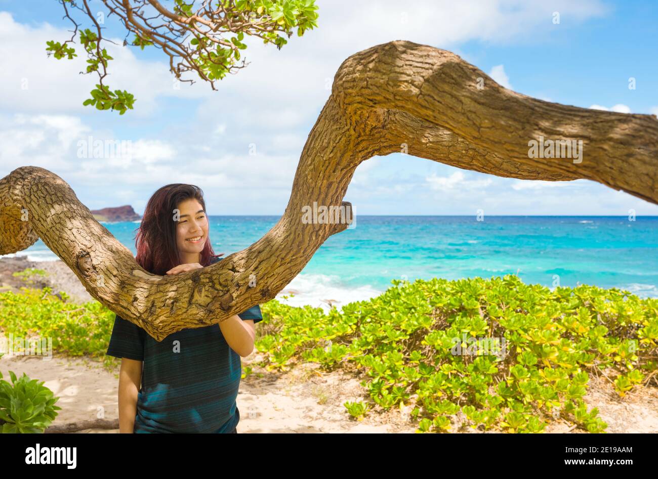 Biracial teen girl relaxing on a bench by Makapu'u beach on Oahu, Hawaii, under a gnarly shade tree looking out towards blue ocean view Stock Photo