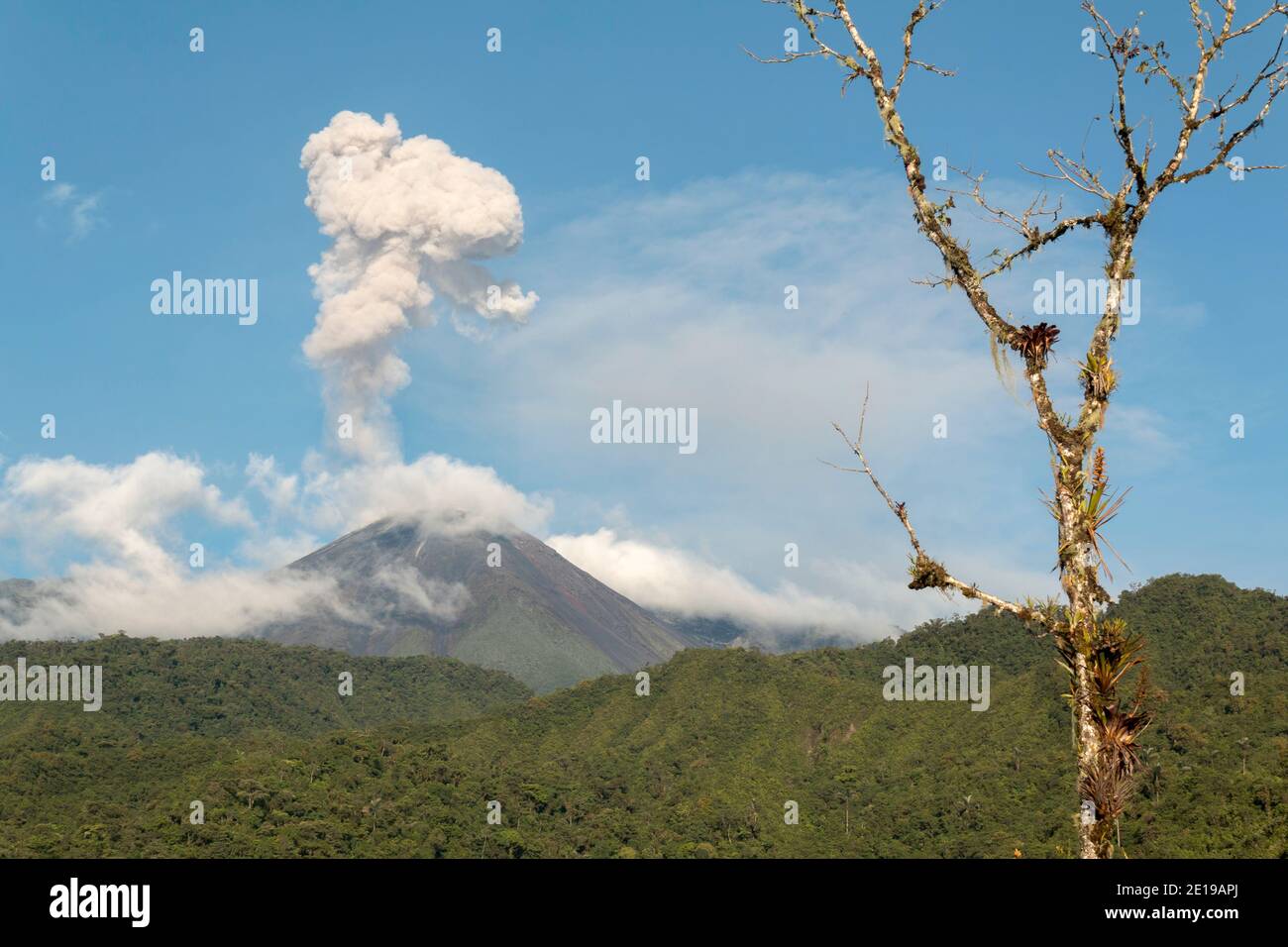 Reventador Volcano erupting, November 2015. The mountain is situated in a remote part of the Ecuadorian Amazon surrounded by rainforest. Stock Photo