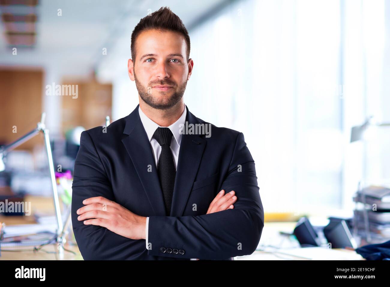 Executive businessman wearing a suit and tie hi-res stock photography ...