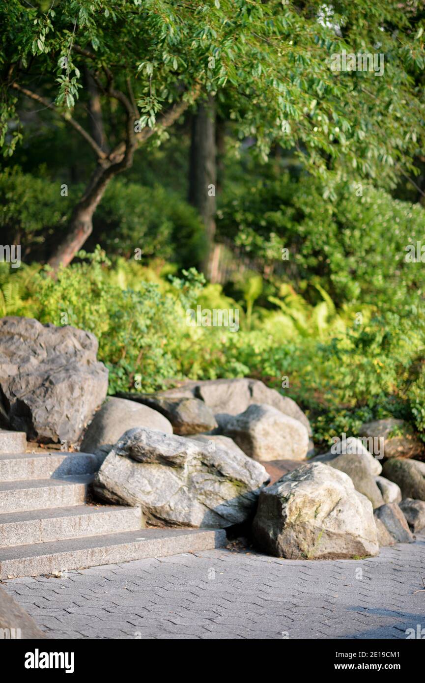 Beautiful community garden hi-res stock photography and images - Alamy