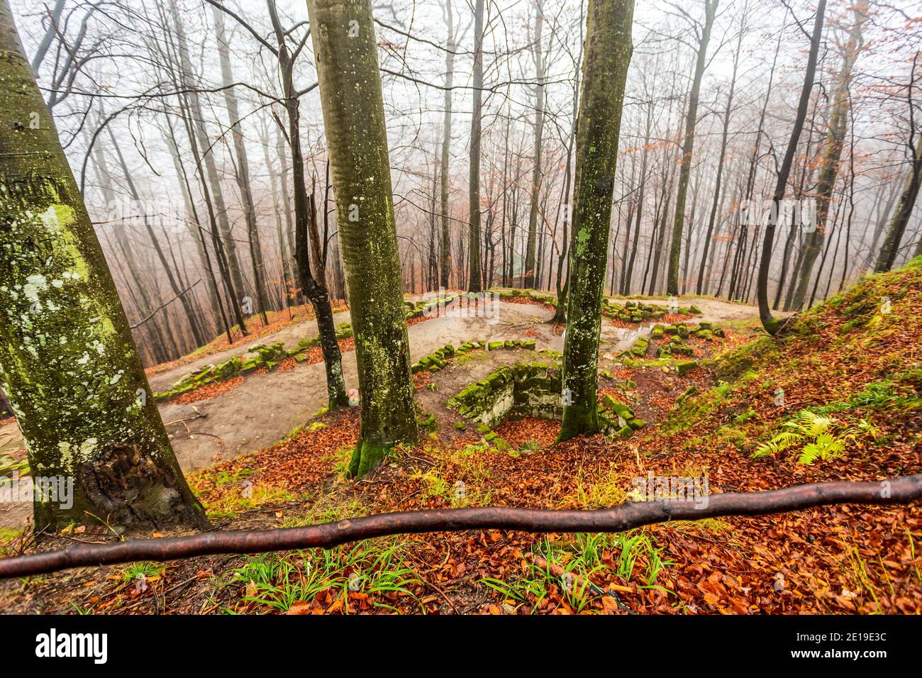 Mystical ancient forest ruins. Photo taken on 30th of November 2019 in the ancient forests around Sarmizegetuza Regia (the ex-capital of Dacia), Huned Stock Photo