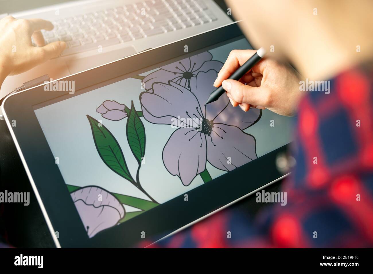 illustrator graphic designer draw flower illustration on drawing tablet. digital artist at work Stock Photo