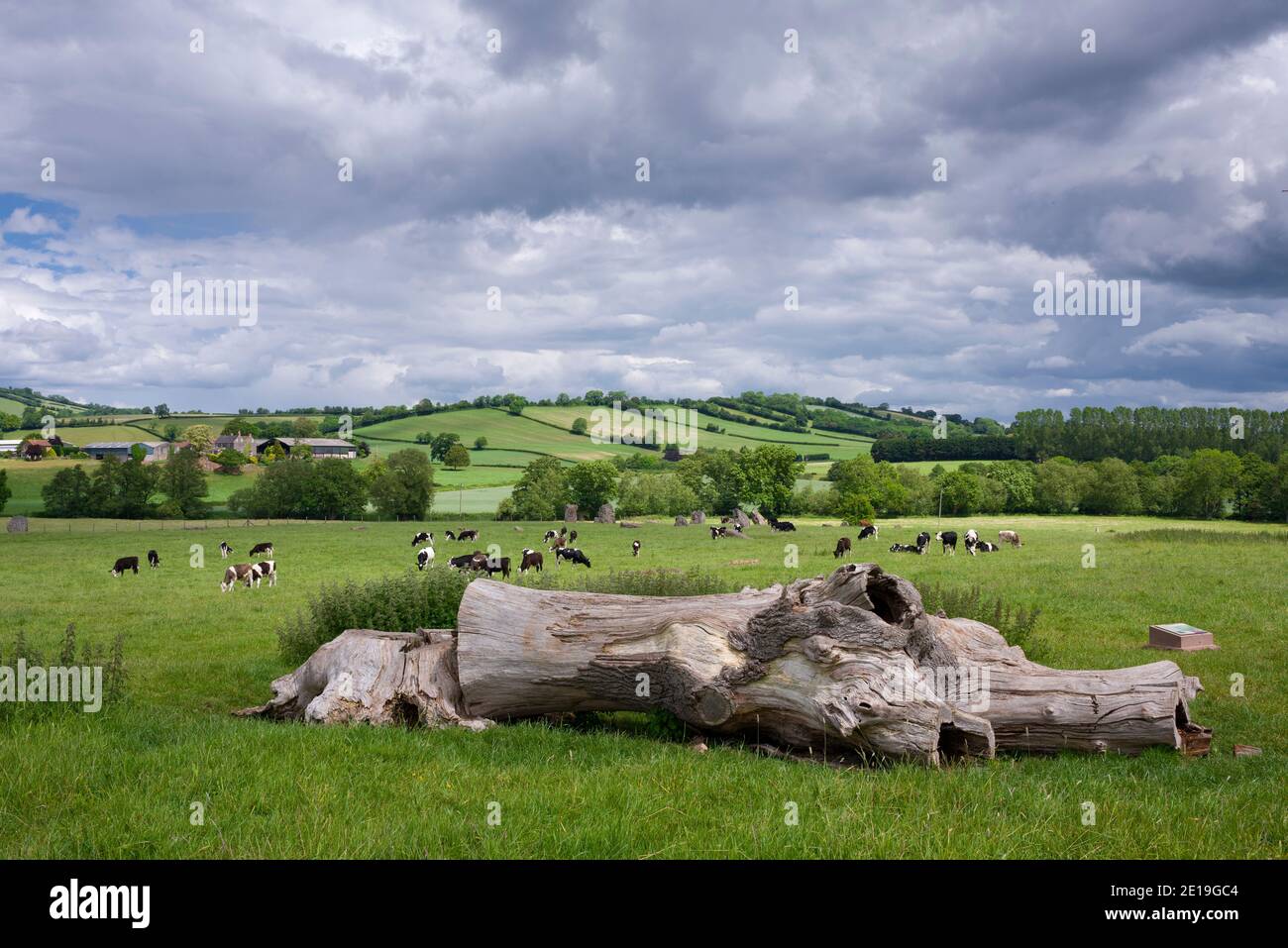 The countryside at Stanton Drew with the Stone Circle beyond, Somerset, England. Stock Photo