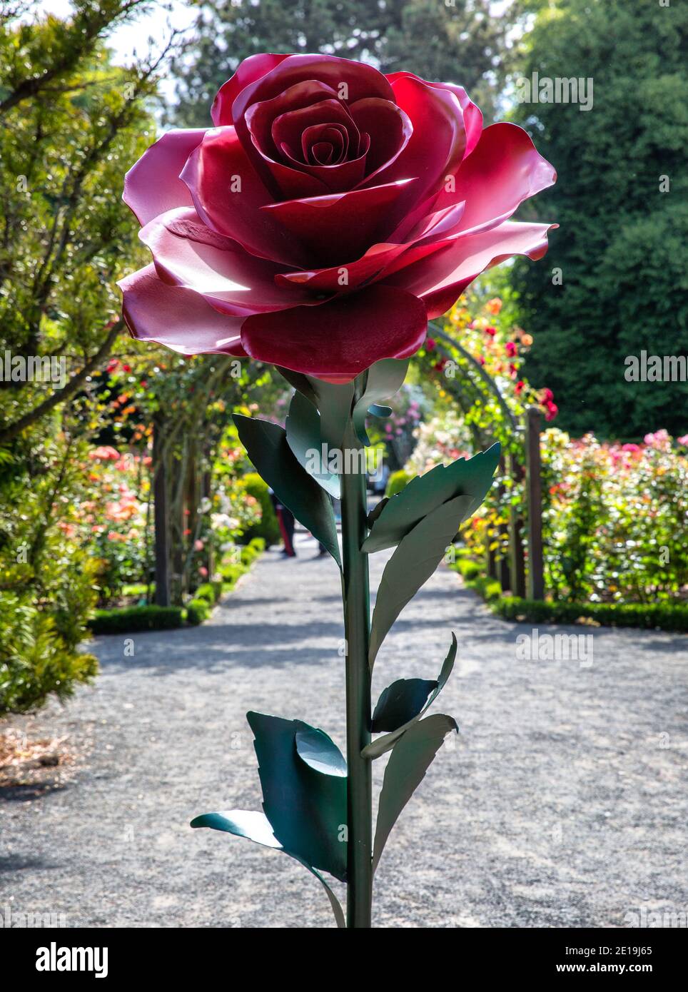 Christchurch New Zealand December 19th 2014 Rose sculpture in the Christchurch botanical