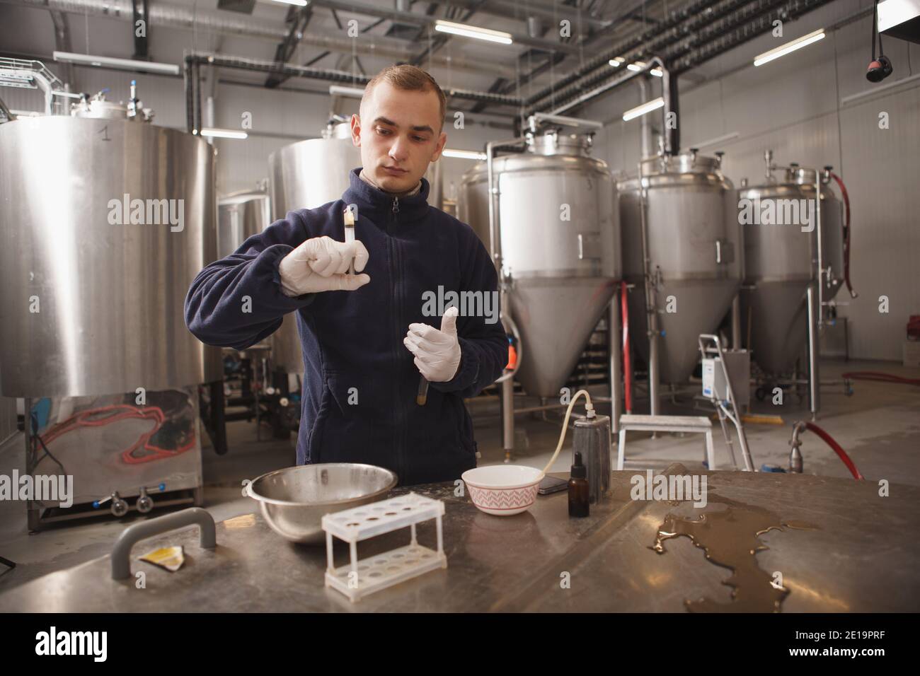Professional male brewer running quality tests at beer factory, copy ...