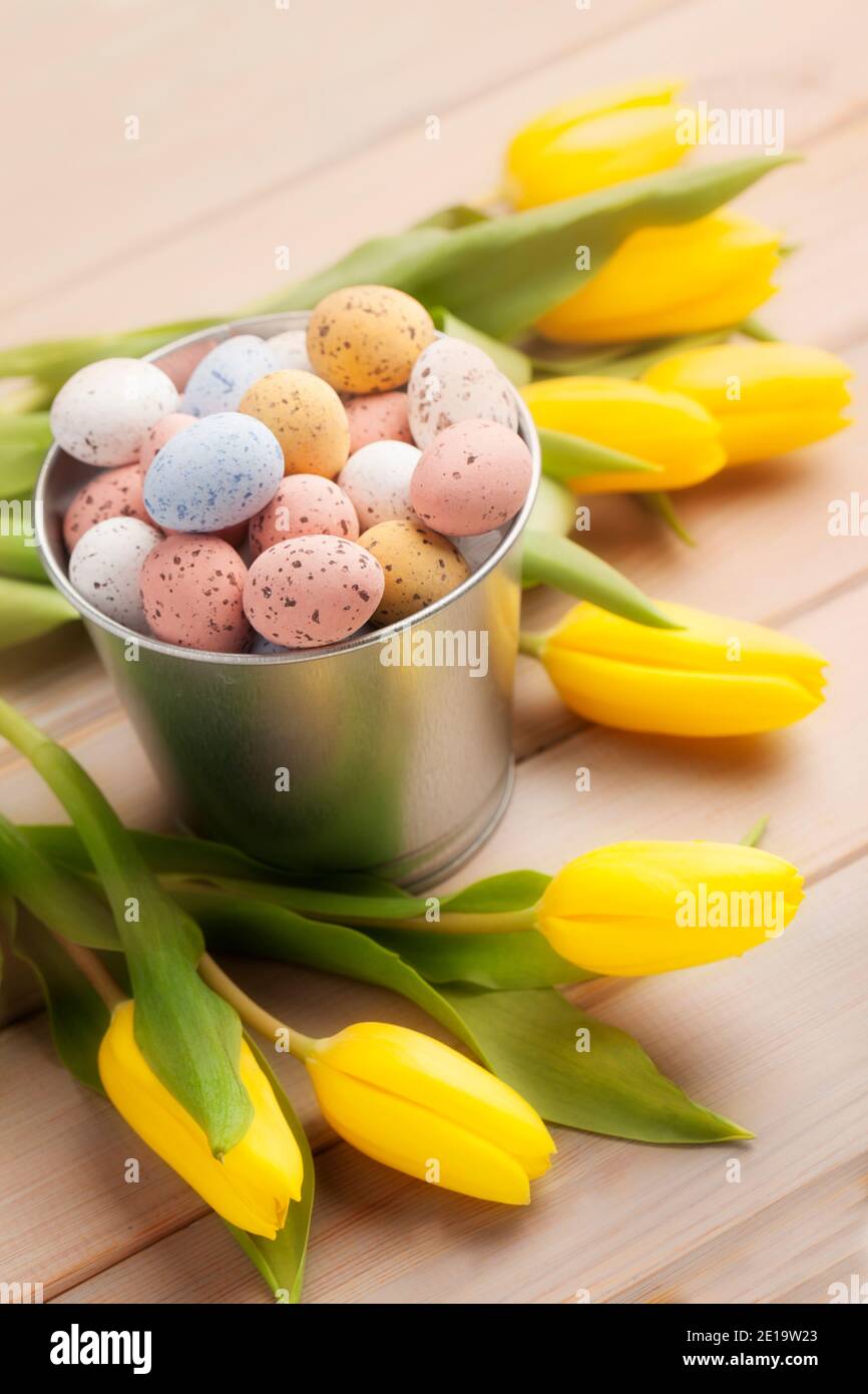 Colorful Easter candy eggs in a steel bucket among bunch of yellow tulips on wooden table Stock Photo