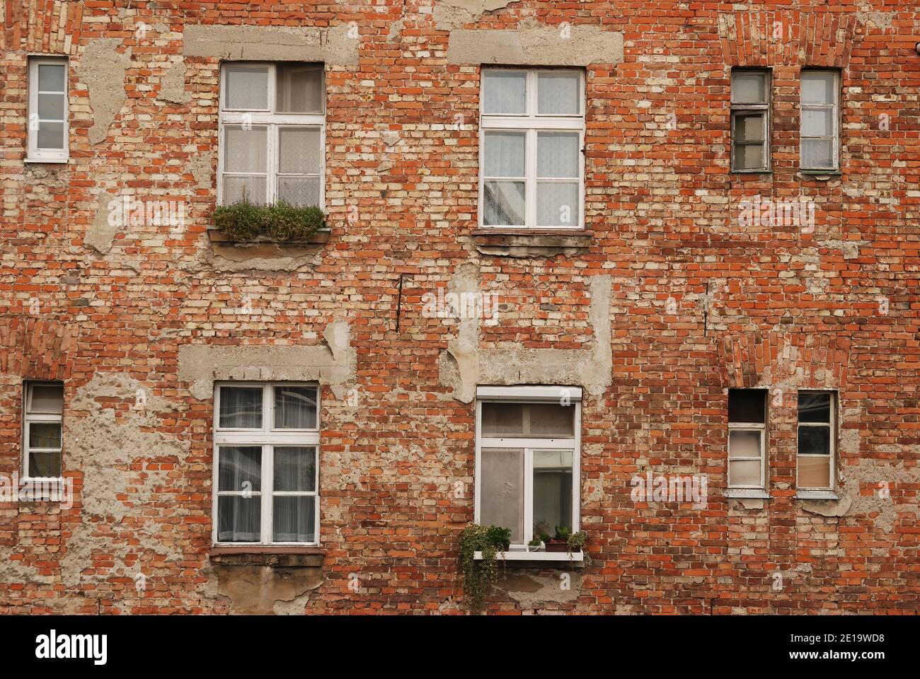 Aged red brick wall texture of house facade with windows. Old grunge