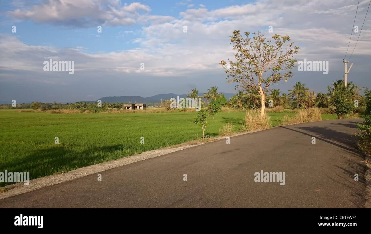 A Rural Road in Kerala, India Stock Photo