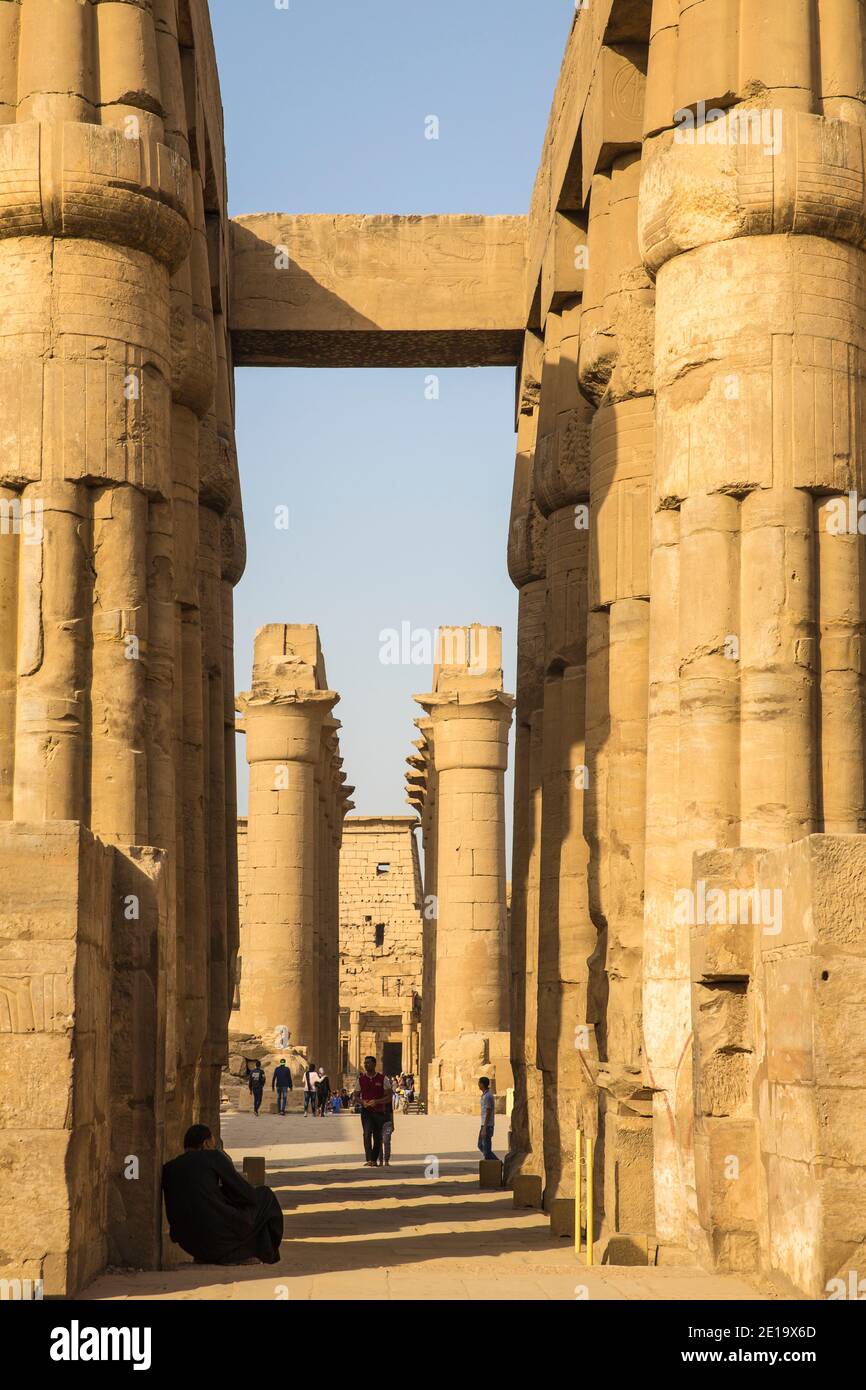 Egypt, Luxor, Luxor Temple, the Great colonnade of Amenophis 11 Stock Photo