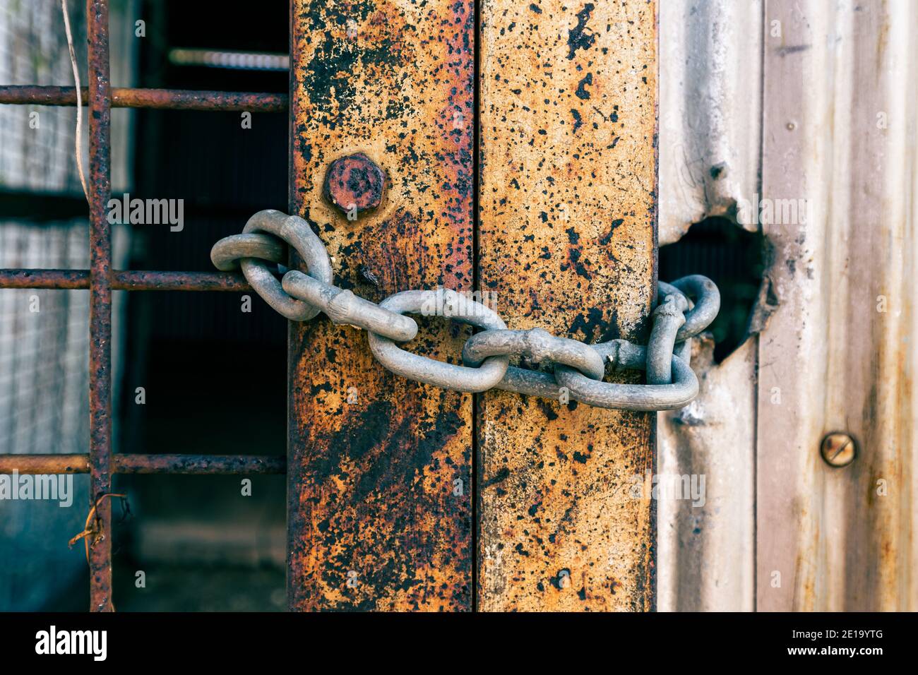 Metal chain closing a rusty gate Stock Photo Alamy