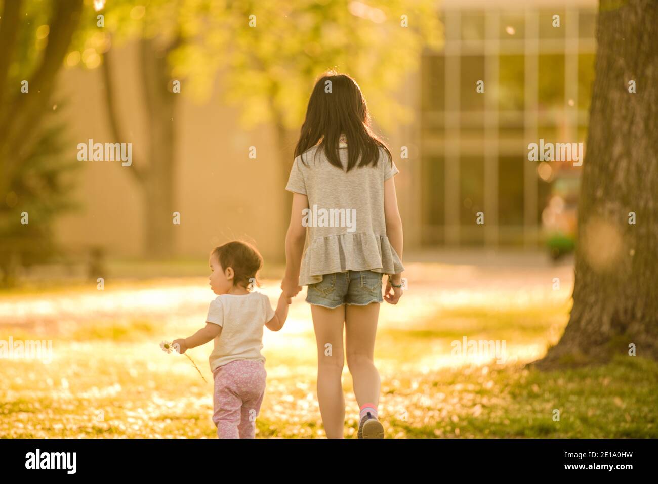 Longueuil, Canada - August 15 2020: Sisters hand in hand walking in the forest in a summer afternoon Stock Photo