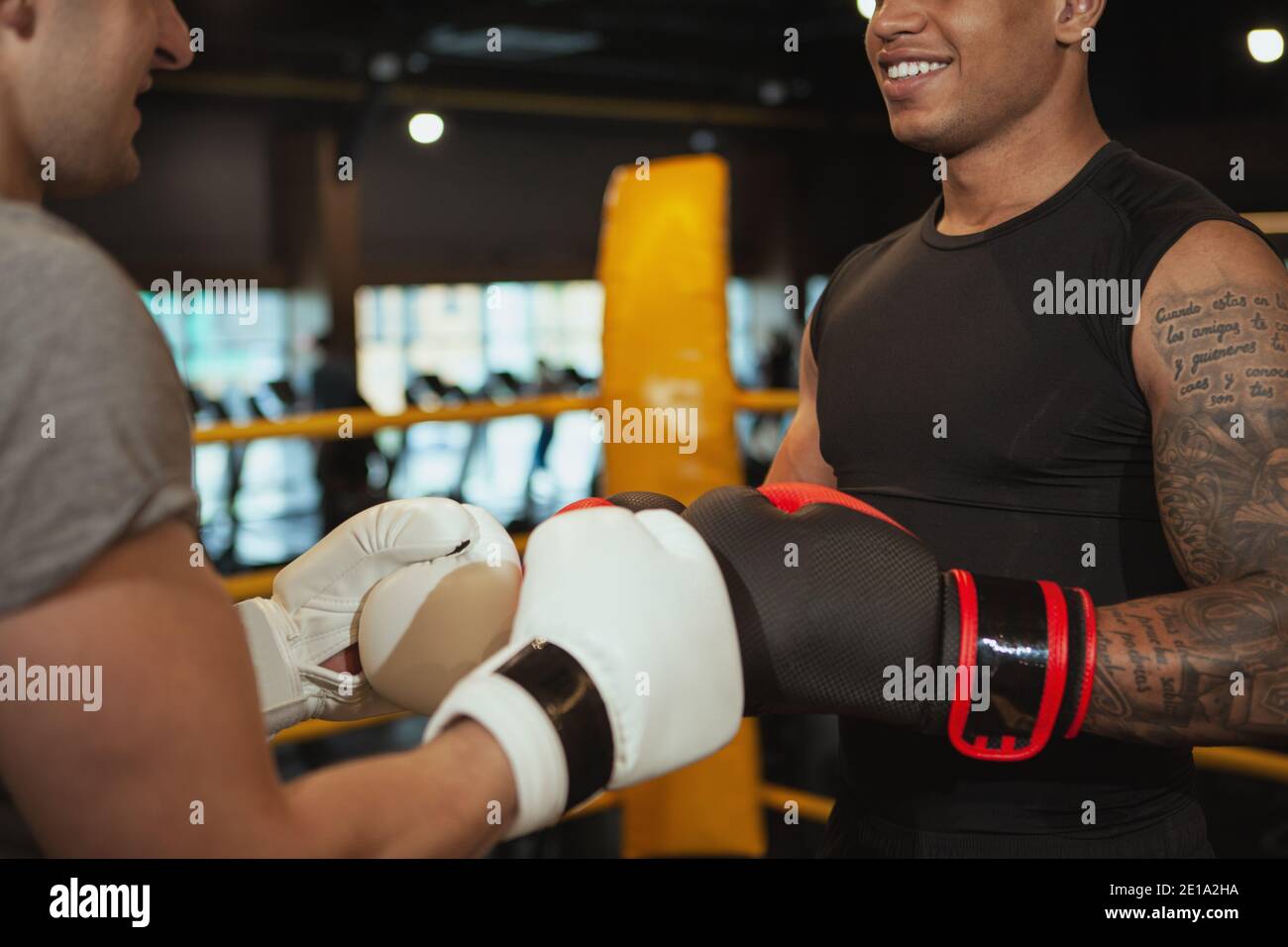 Cropped shot of two male friend enjoying training at boxing gym together,  touching gloves before fighting. Cheerful handsome African boxing fighter hi  Stock Photo - Alamy
