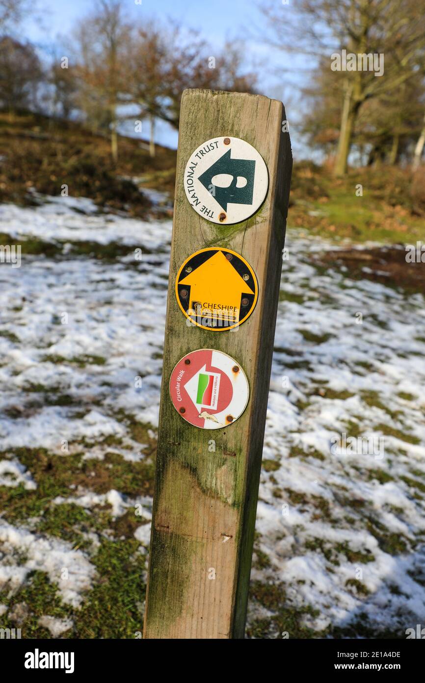 A wooden footpath sign with direction arrows for the 'habitats and hillforts' circular walk, Bickerton Hill, Cheshire, England, UK Stock Photo