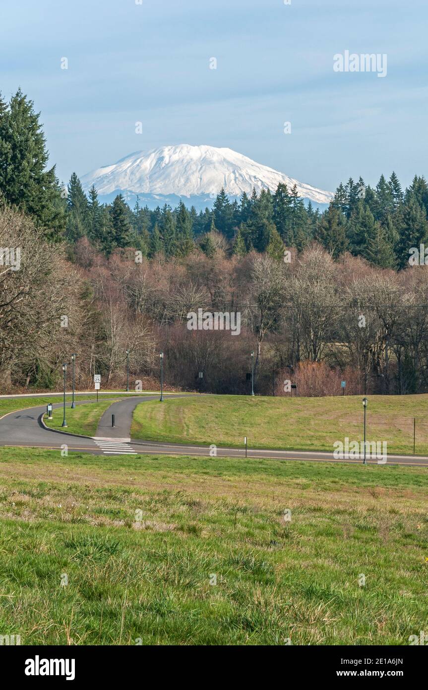 Mount St. Helens viewed from the campus at WSU (Washington State University) at Vancouver, Washington, Stock Photo