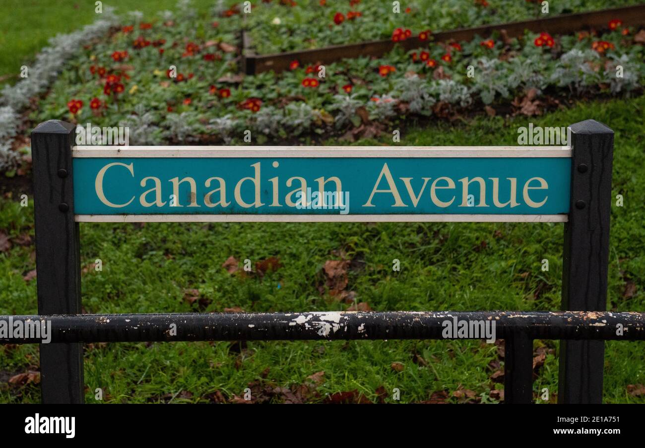 Canadian Avenue in Catford where police called to a carehome in the