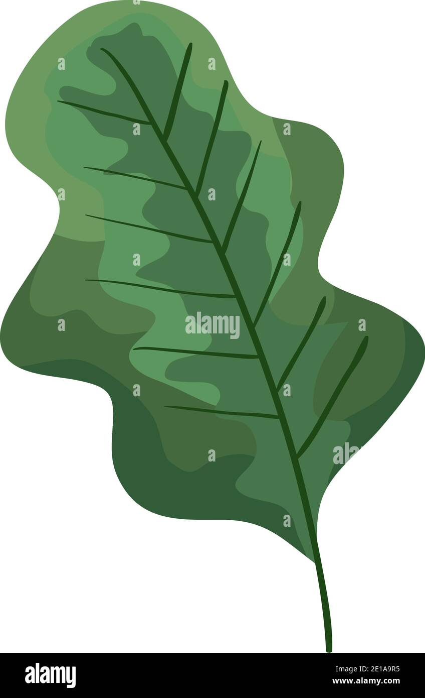 leaf plant ecology nature icon Stock Vector Image & Art - Alamy