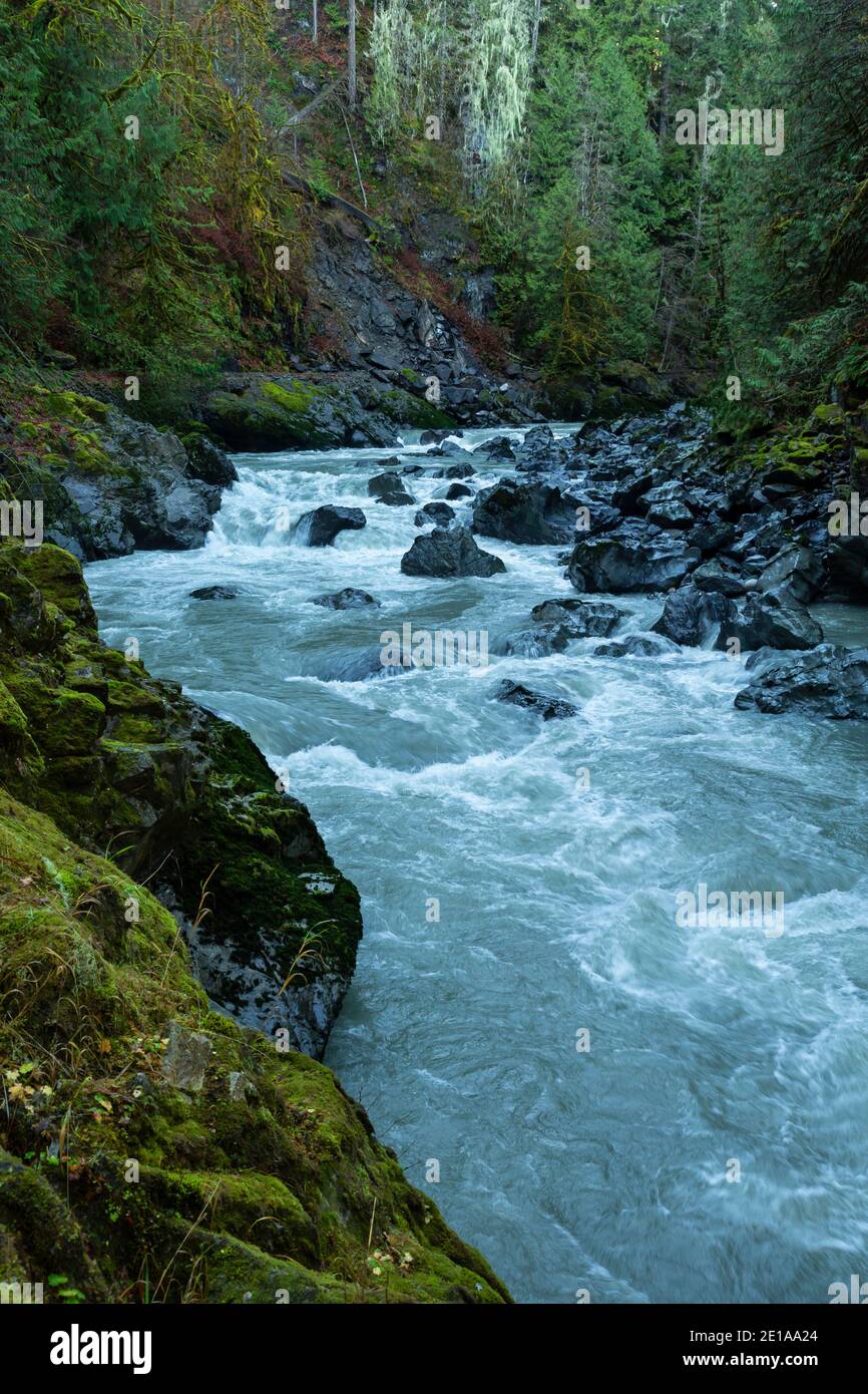 Old Robe Trail Train WA19011-00...WASHINGTON - The Stillaguamish River heading into a narrow ...