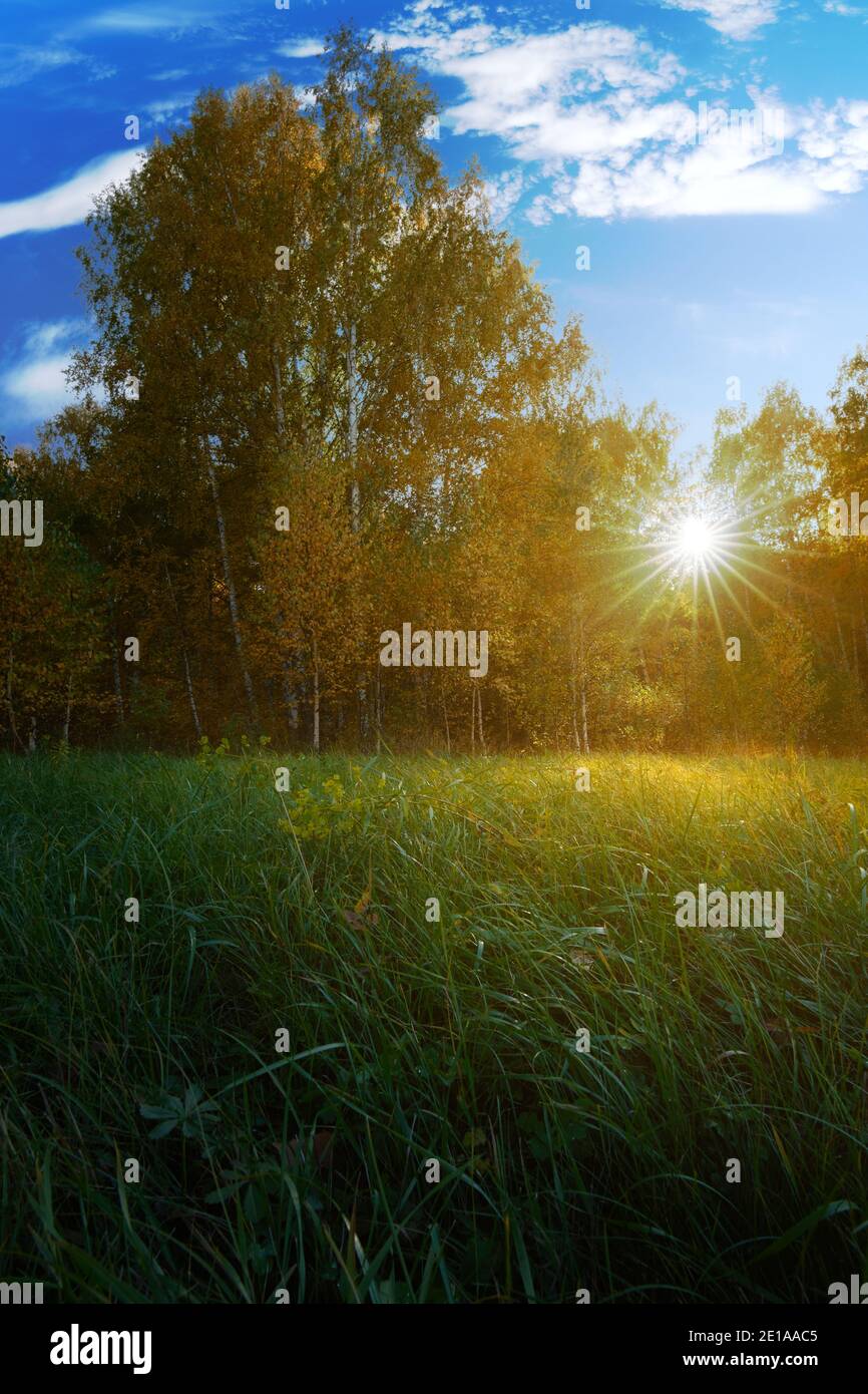 Warm sun rays hi-res stock photography and images - Alamy