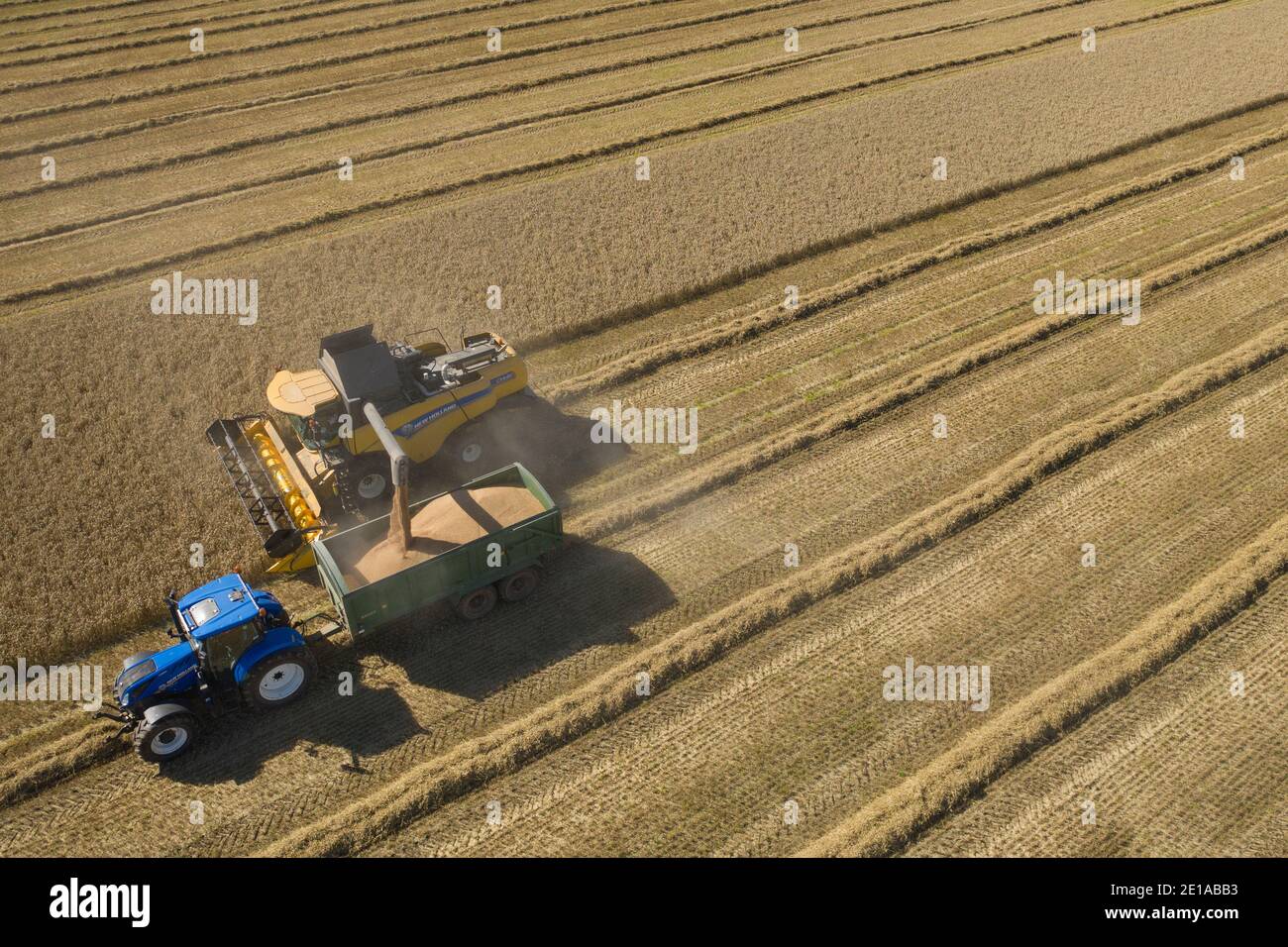 Aerial view of barley harvest, Angus, Scotland. Stock Photo