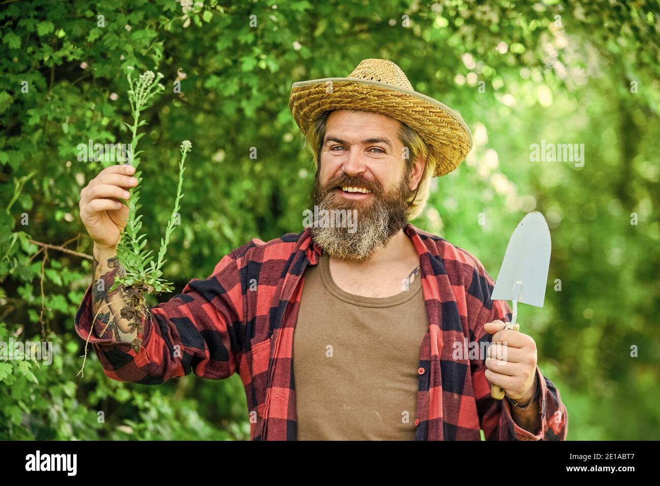 botanic worker. Trowel digging soil. Garden tools. seeds and soil. Spring in the garden. Farmer giving fertilizer. The gardener digging in garden. Work with garden trowel. mature man gardener. Stock Photo