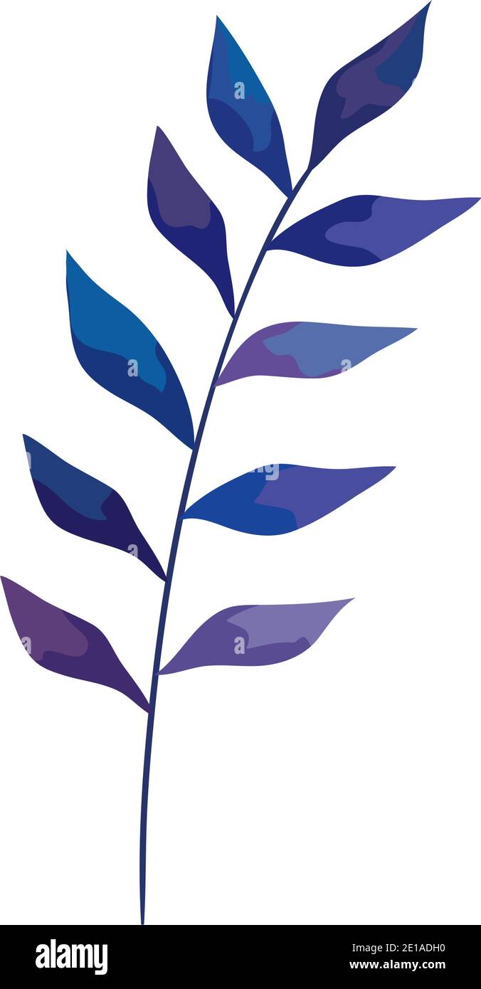 tropical exotic branch with leafs nature icon Stock Vector Image & Art ...