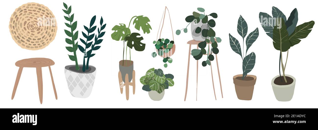 Set of indoor plants in pots. Illustration Stock Photo - Alamy