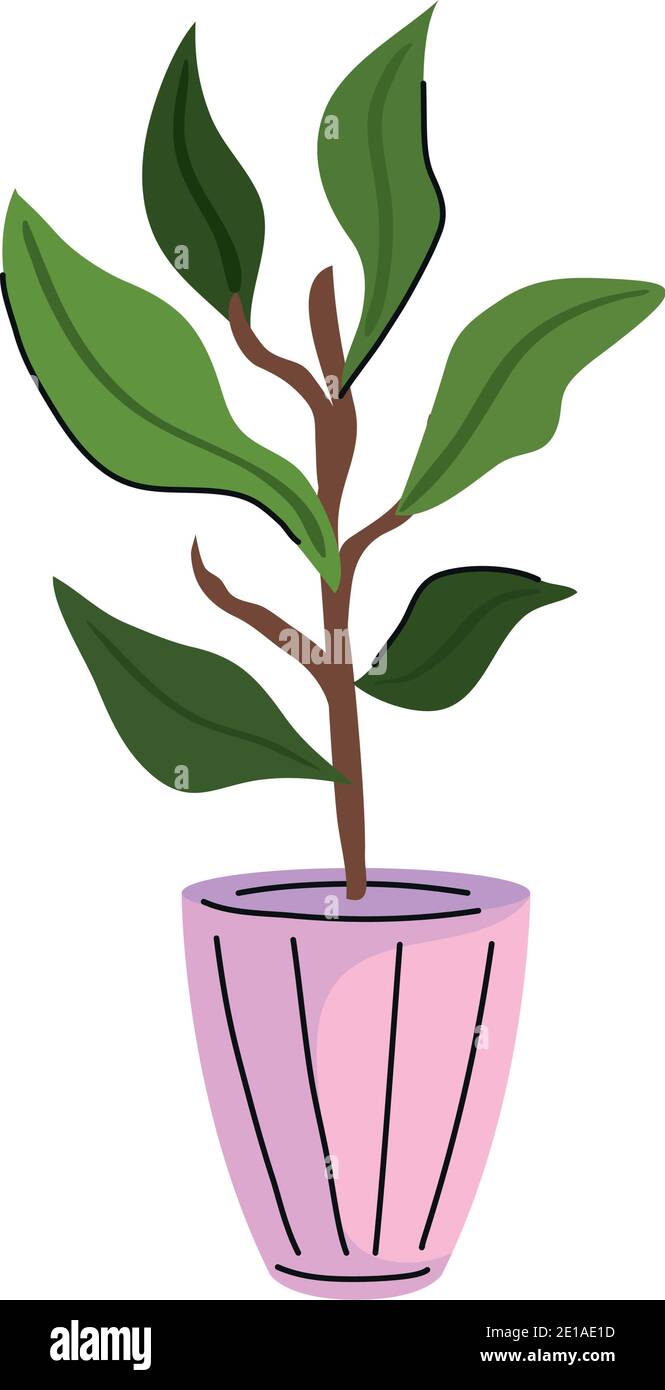 house plant in ceramic pot pink icon Stock Vector Image & Art - Alamy