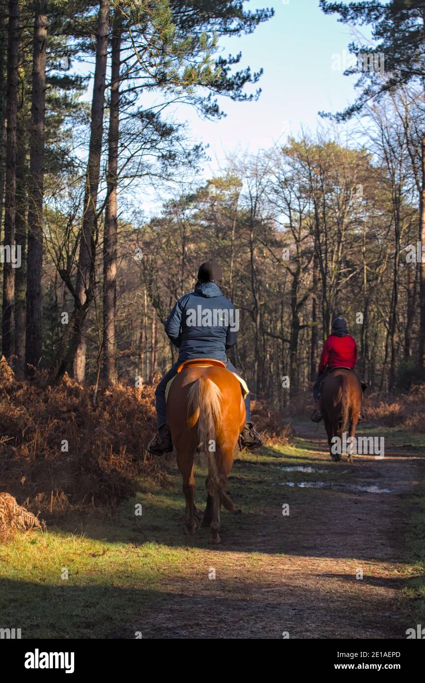 Horse riders and bridleway hires stock photography and images Alamy