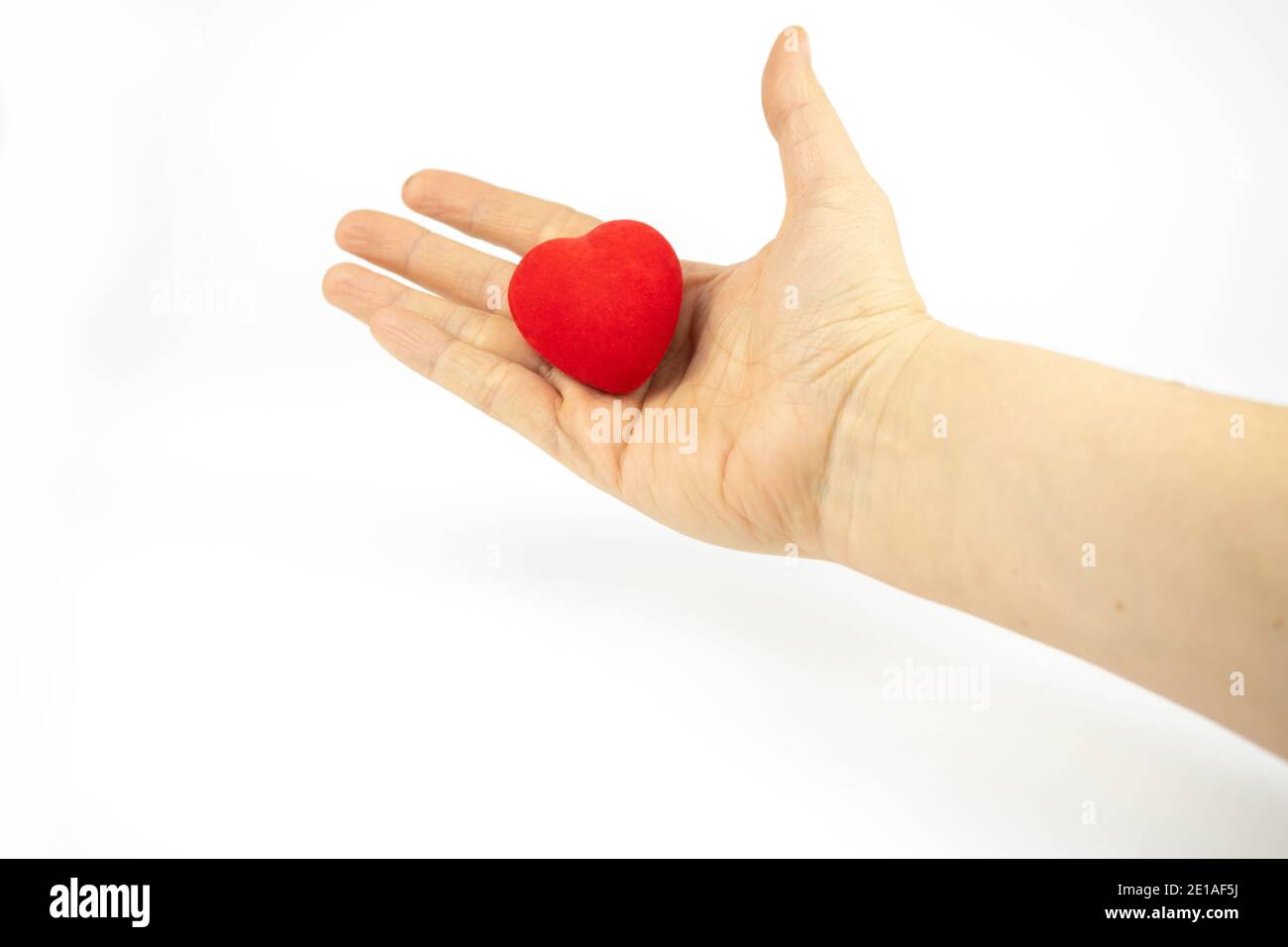 Red heart in a hand on white background Stock Photo
