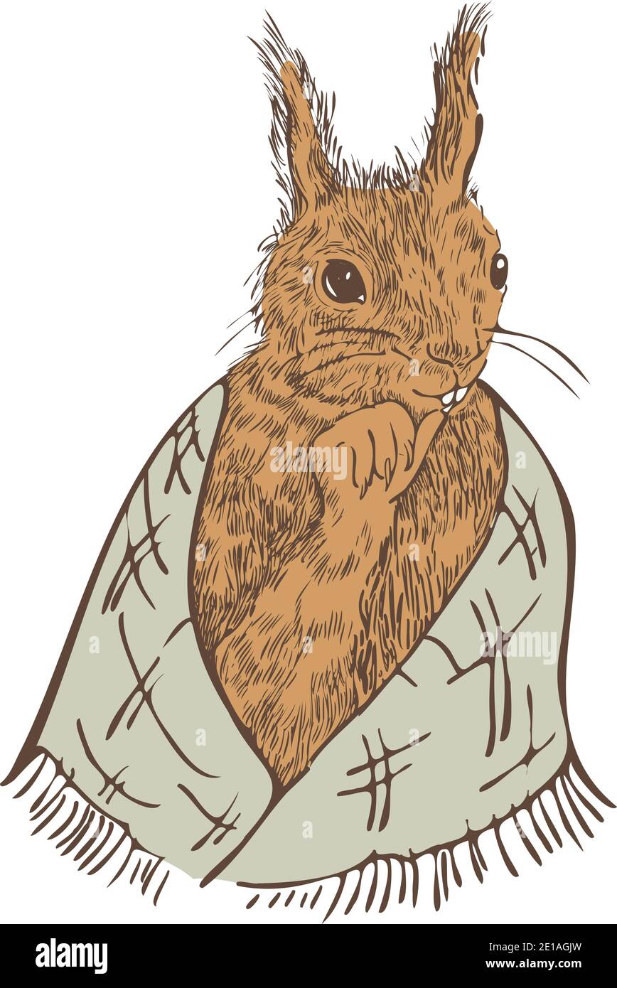 Vector illustration of squirrel in scarf. Cute animal portrait. Stock Vector
