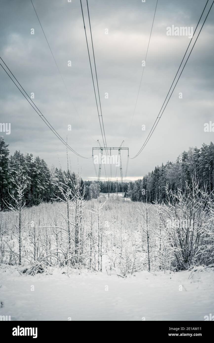 Winter scenery of a snowy forest and electricity power lines Stock ...