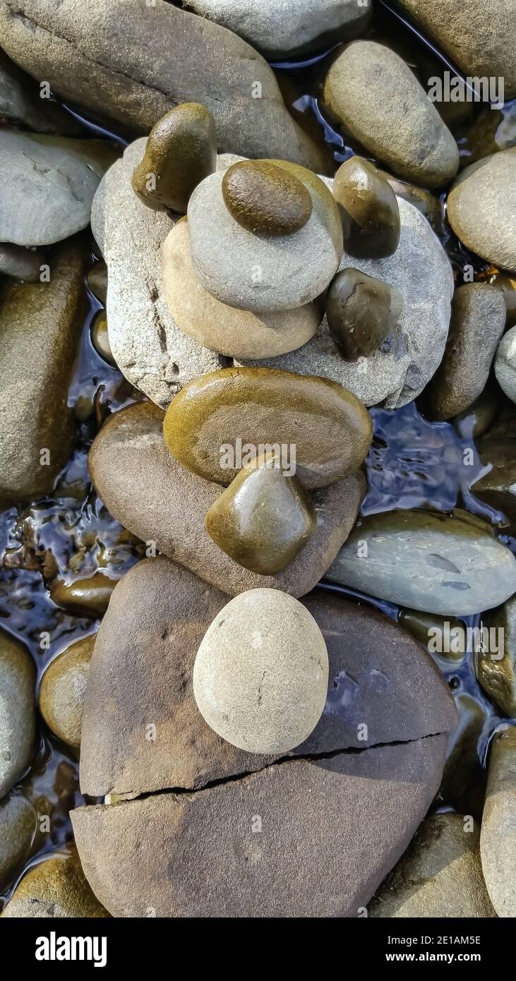 Macro shot of river rocks and shells in multiple shades of brown ...