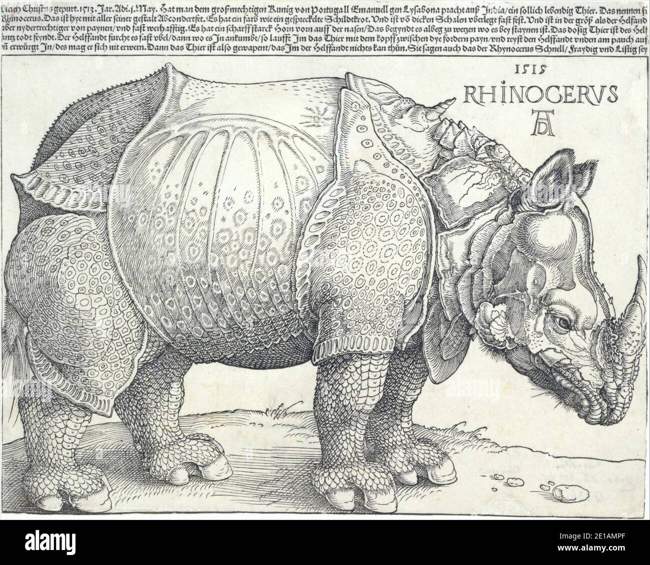 SEATTLE - OCT 1, 2020 - Rhinoceros engraving after 1620 Albrecht Dürer German artist Stock Photo