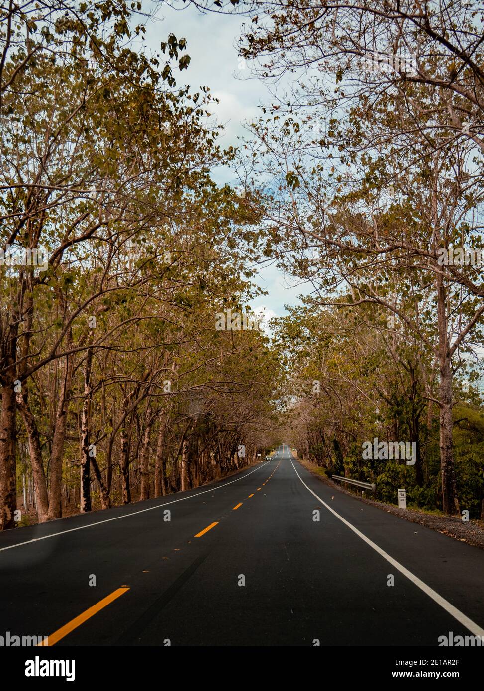 Subjectively hi-res stock photography and images - Alamy