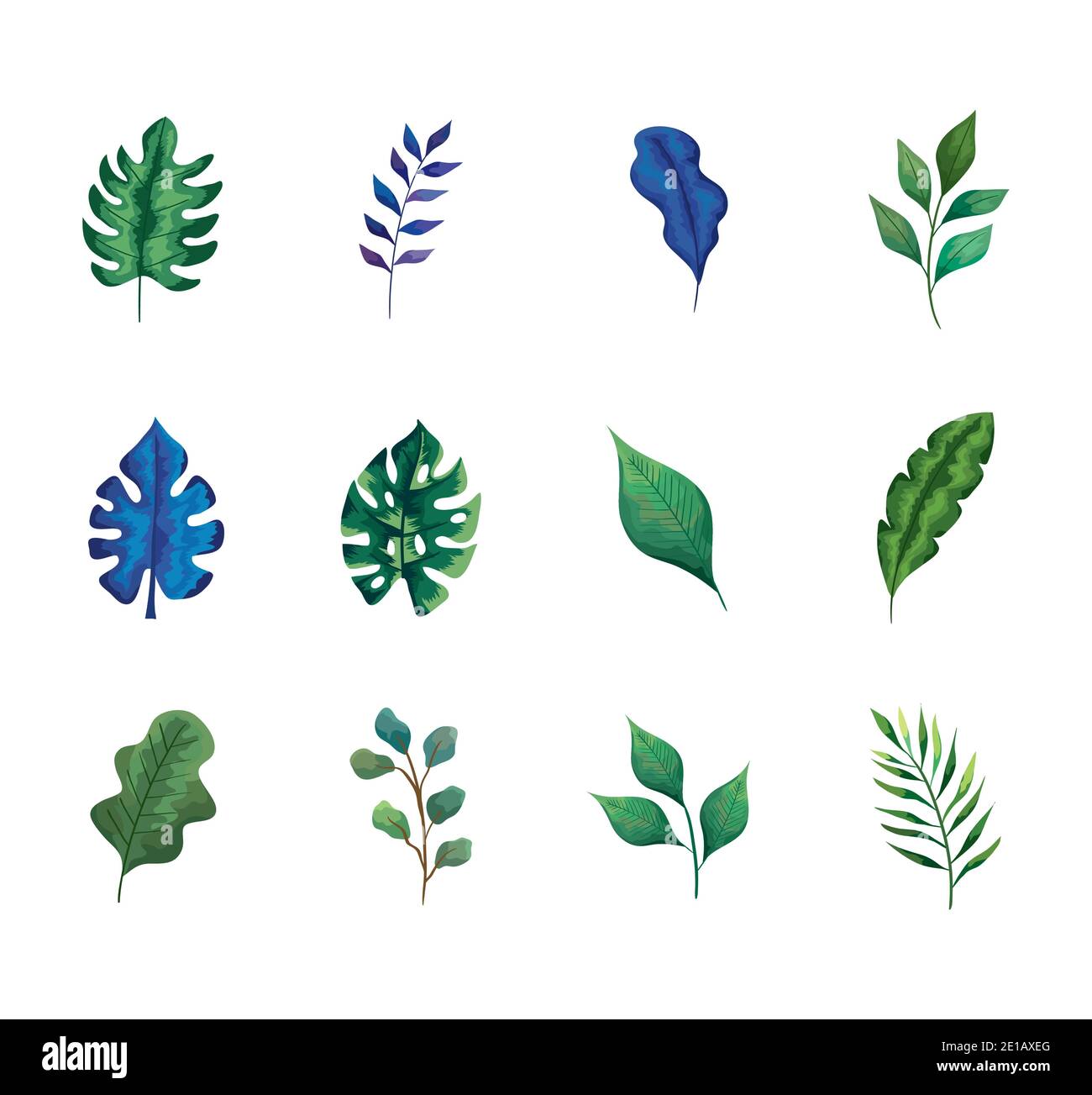 12 stem Stock Vector Images Alamy