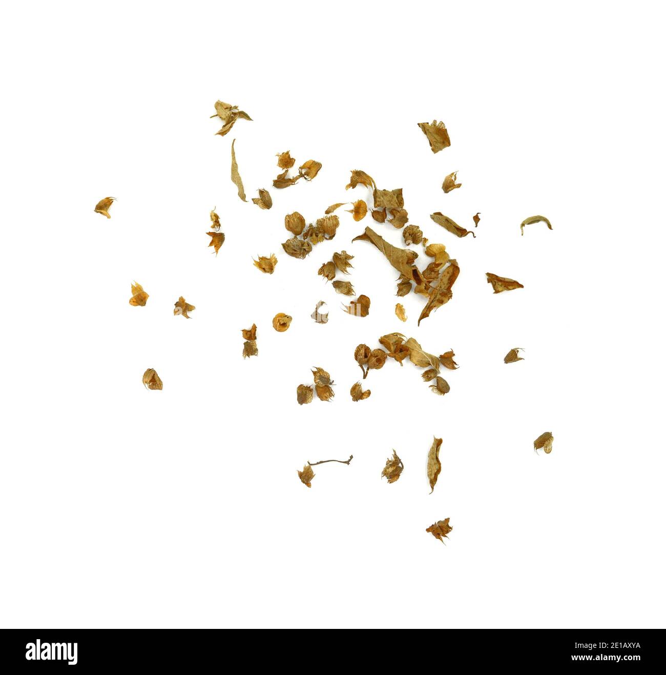 Dried natural basil spice (Ocimum basilicum). Pile of dried basil