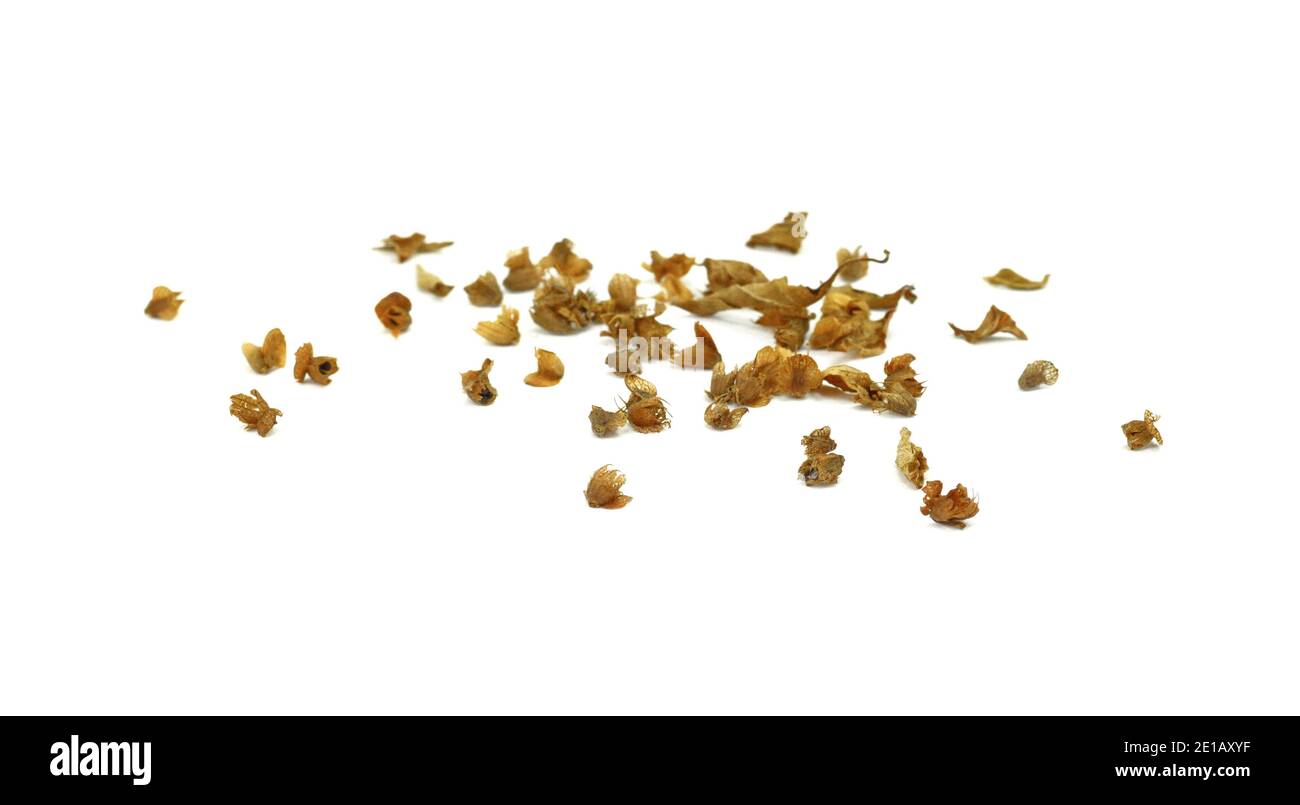 Dried natural basil spice (Ocimum basilicum). Pile of dried basil