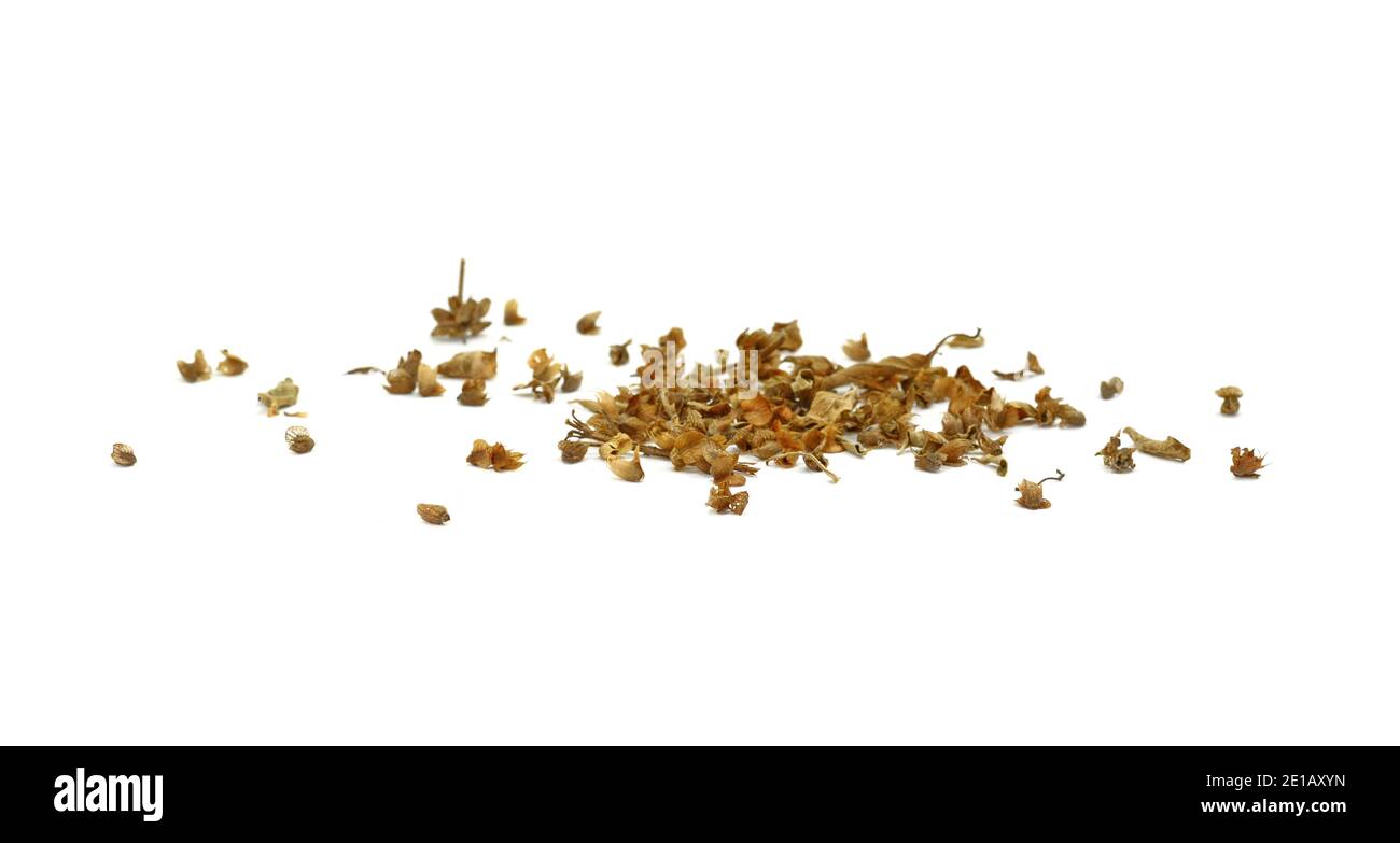 Dried natural basil spice (Ocimum basilicum). Pile of dried basil