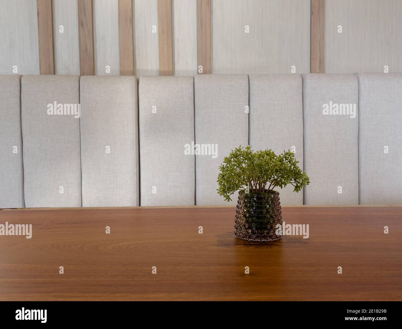 Table of free space with green plant, stock photo Stock Photo