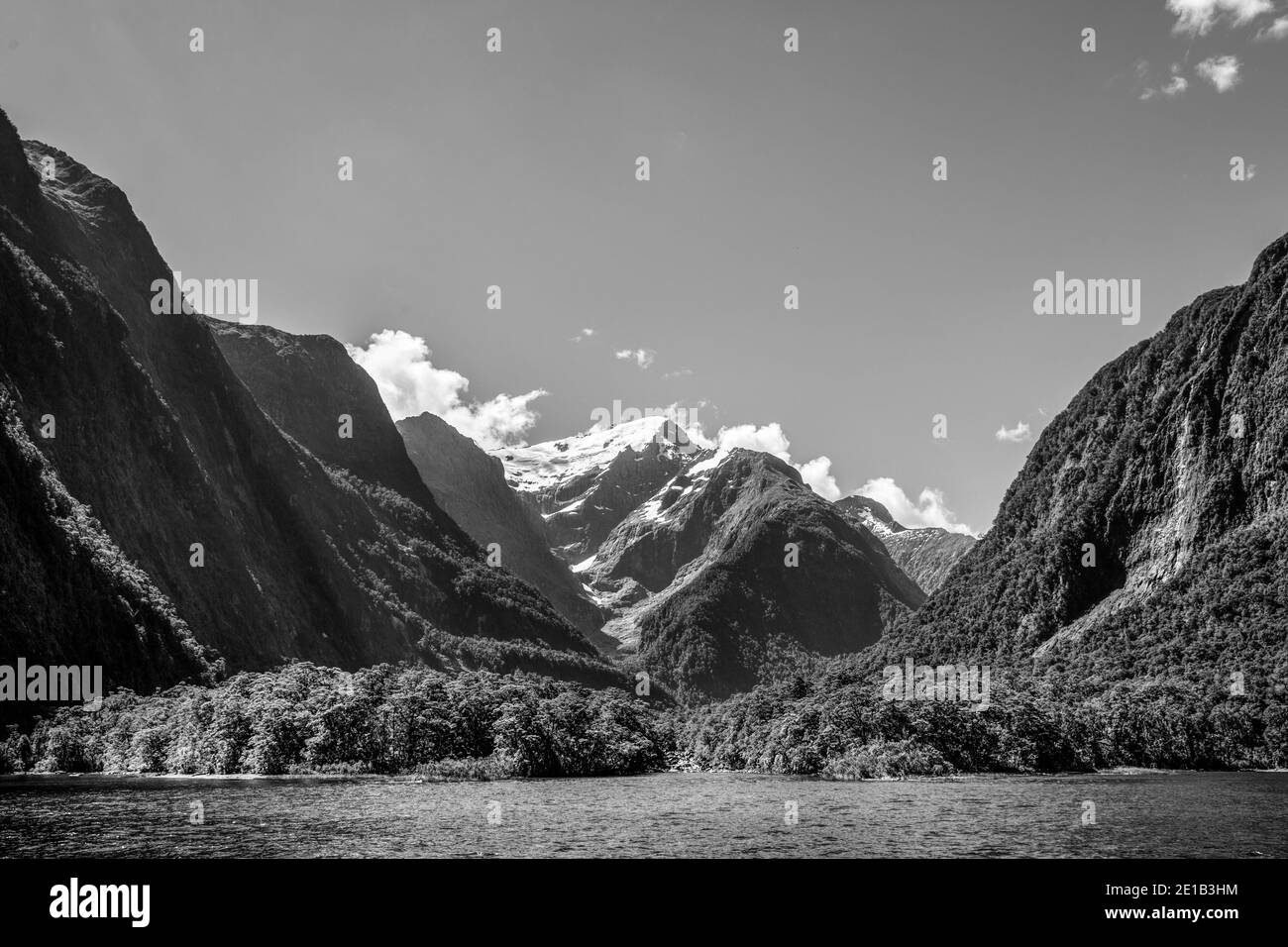 Cruising on Milford Sound, Fiordland, South Isalnd, New Zealand Stock