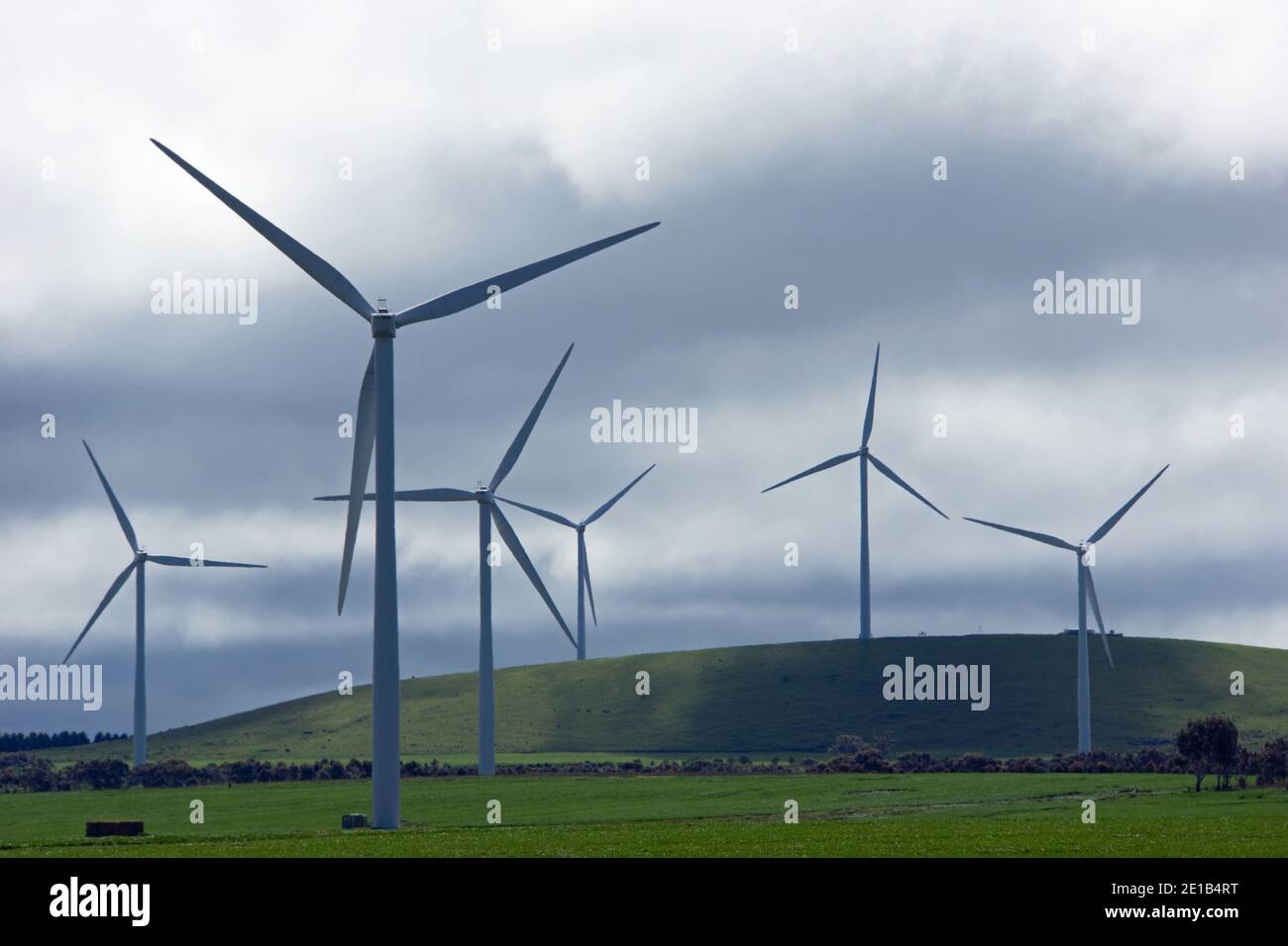 Wind turbines generating electricity from wind energy with green fields