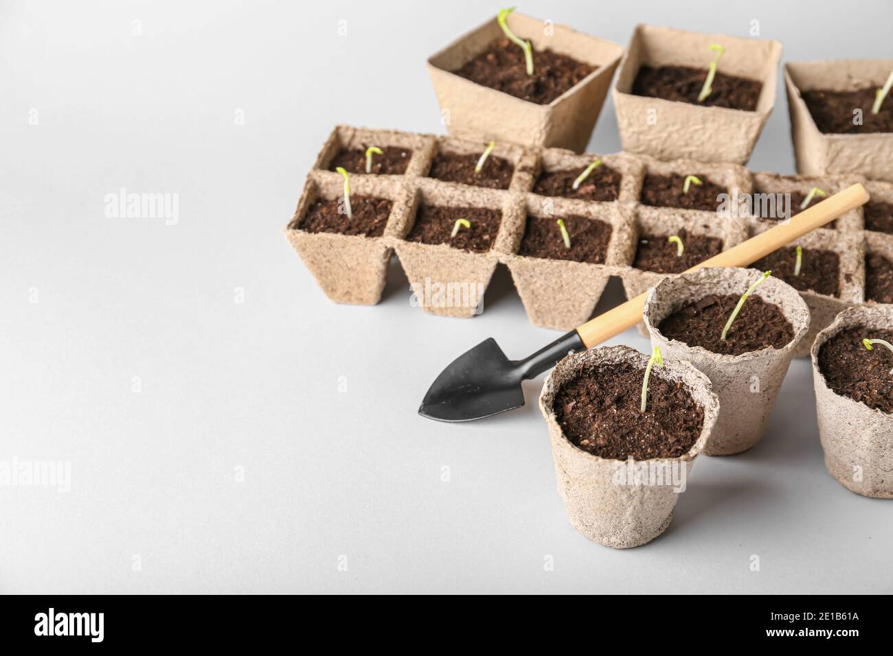 Peat pots with soil and green seedling on light background Stock Photo ...
