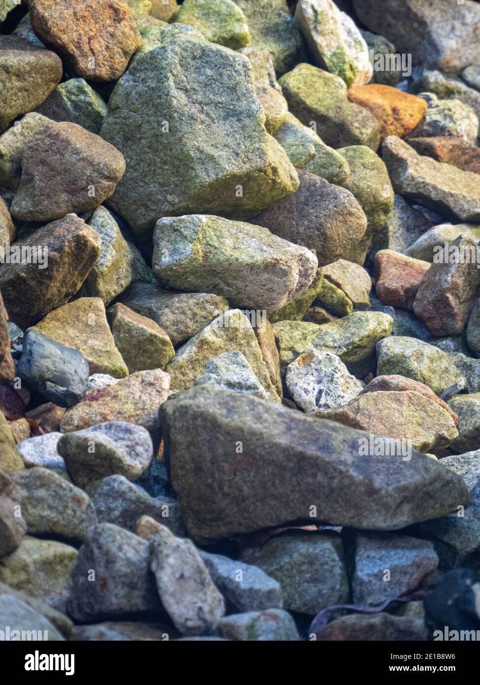 Greys green hi-res stock photography and images - Alamy