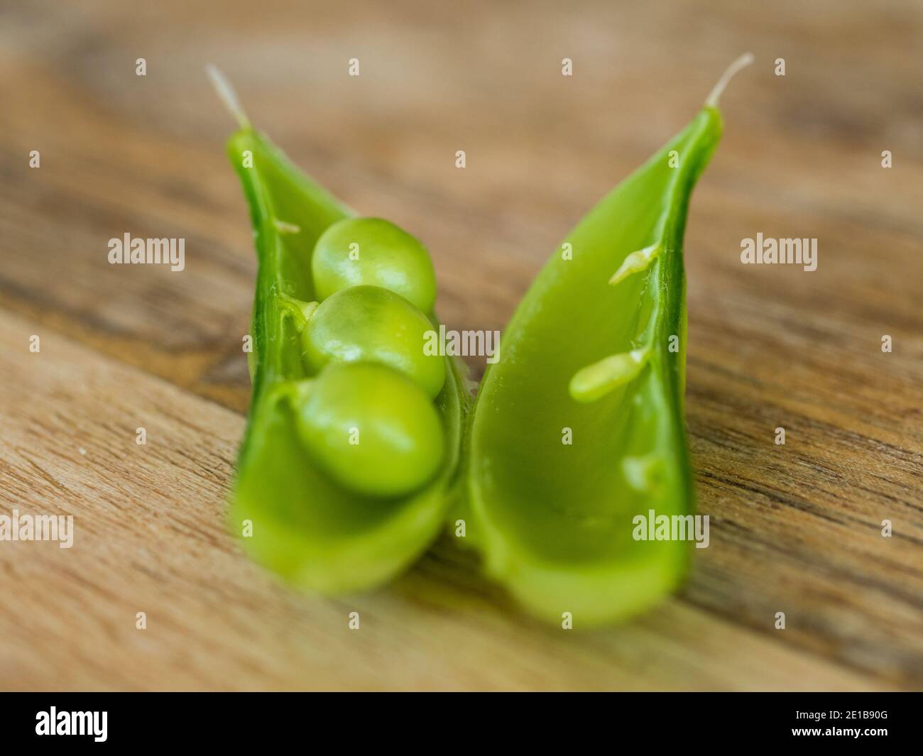 Vegetables, peas in a pod, three green snap peas in an open pod on a wooden kitchen table, fresh and Homegrown, healthy living, Australia Stock Photo