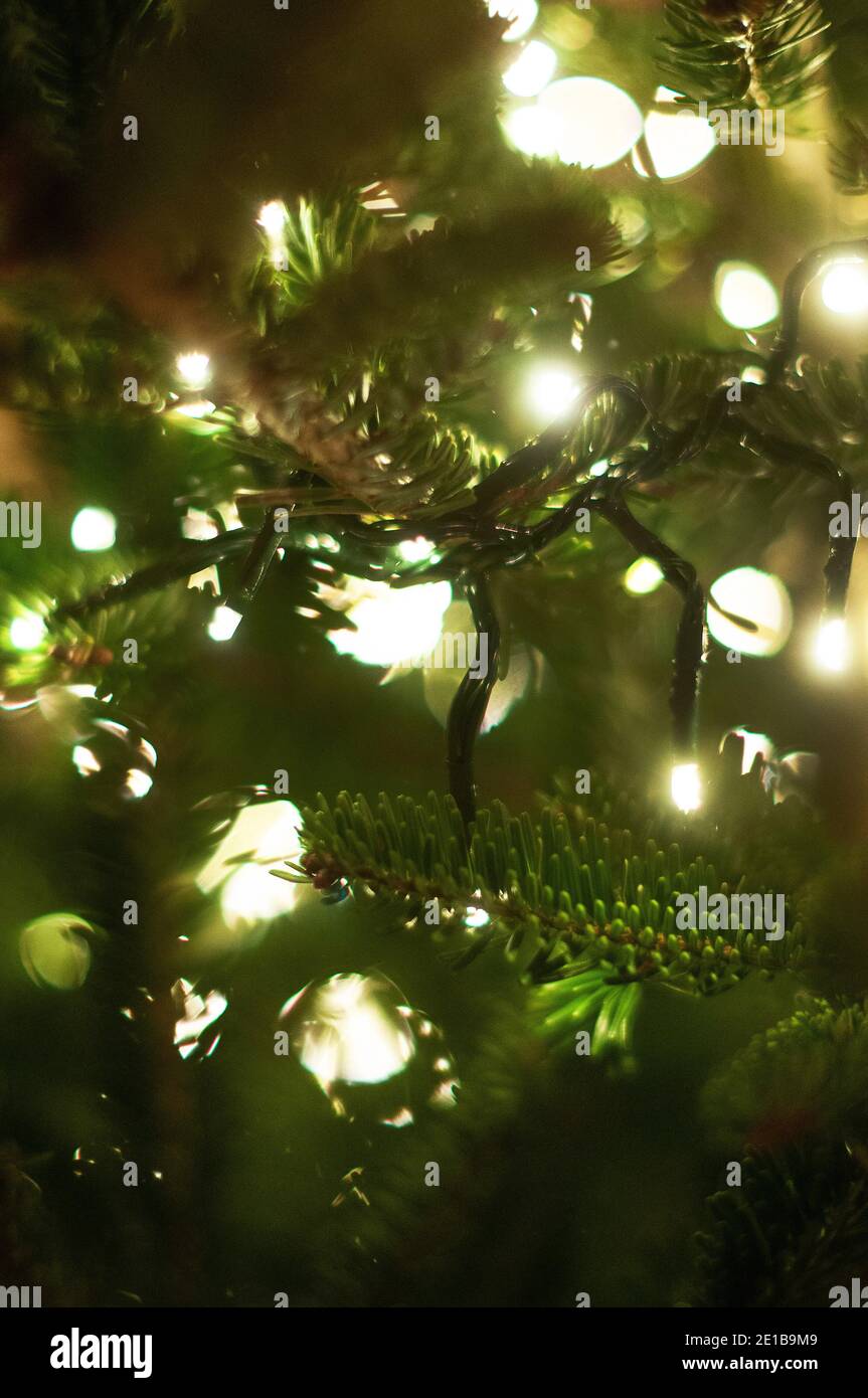 Blurred fairy lights hires stock photography and images Alamy